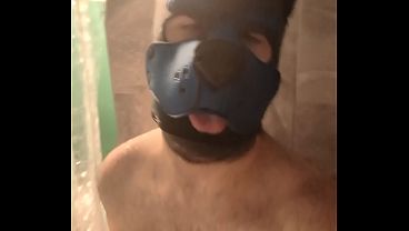 Image Puppy domicile qui ce d&eacute_fonce le cul dans la douche
