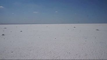 Image White Salt of Desert