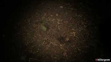 Image KILLERGRAM - Classy Filth Goes On A Dogging Mission And Satisfies Every Anonymous Cock In A Wild Outdoor Adventure
