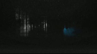 Image Secret Blowjob During Movie Night While Their Friends Are Right There