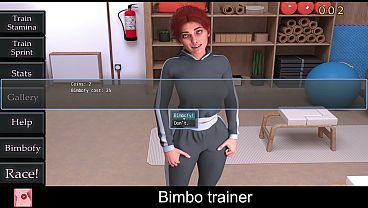 Image Bimbo trainer
