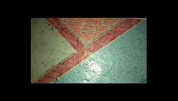 Image The Best Masturbation Clip You Can Get
