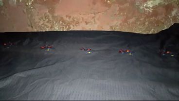 Image The Best Masturbation of the Year