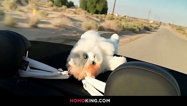 Image Desert Delight: Danny and Joey's Wild Public Adventure