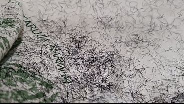 Image Peludo safado em d&uacute_vida. Tiro mais pelos ou n&atilde_o?