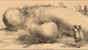 Image top twenty vintage drawings