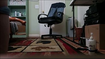 Image Bed Toy Hors