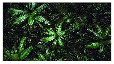 Image Rainforest Fuck (ai)