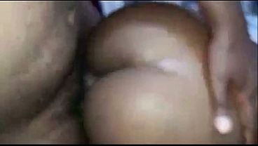 Image Black Chicks